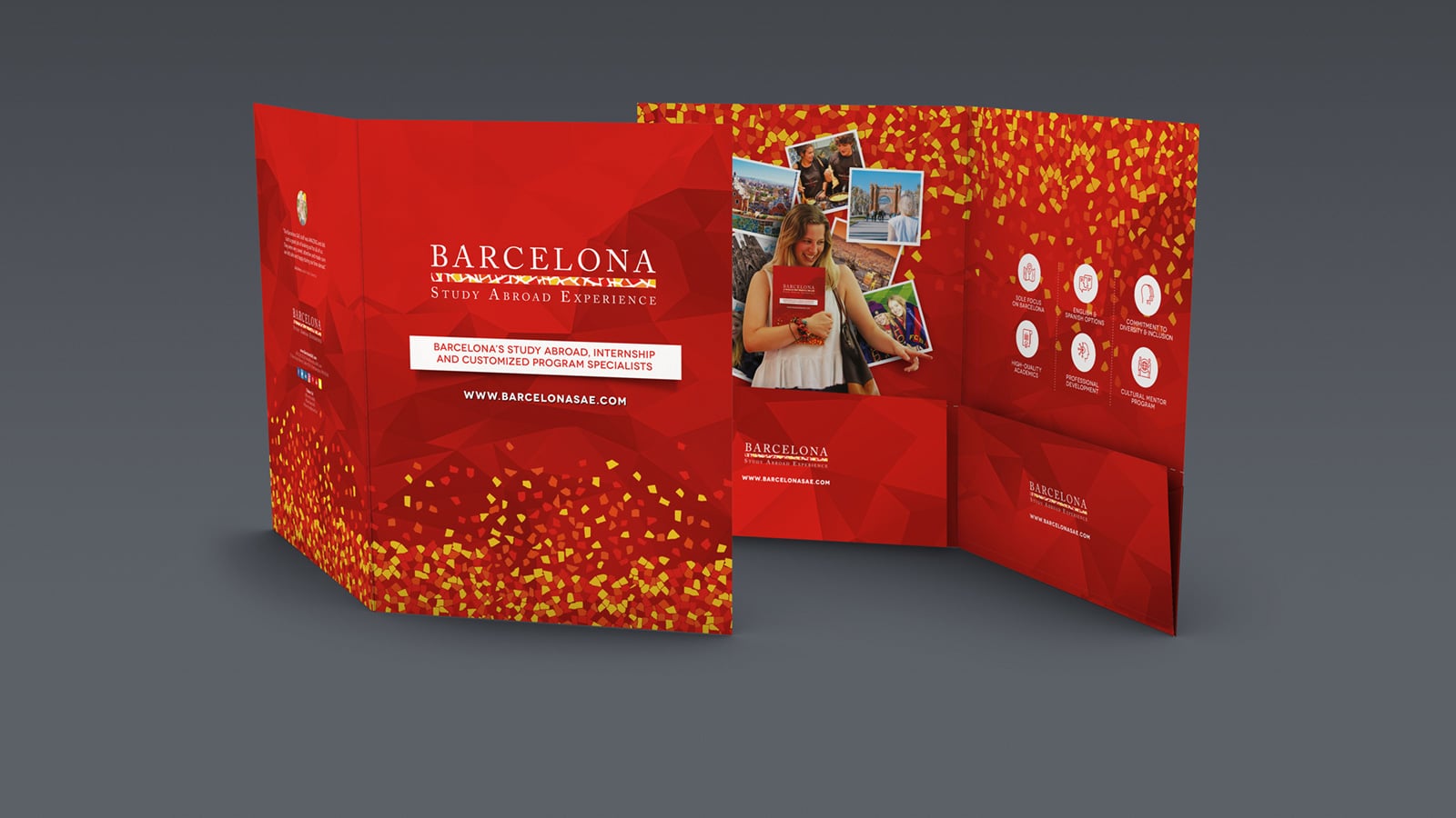 BSAE-Folder-mockup-2019